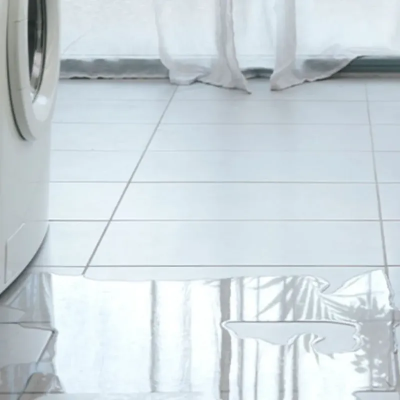 Appliance Leak Cleanup in Sunset, LA